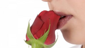 girl kissing red rose