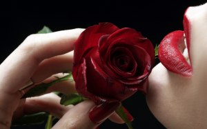 woamn kisses red rose touch lips